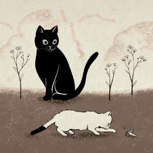 猫に会いたいポストカード01